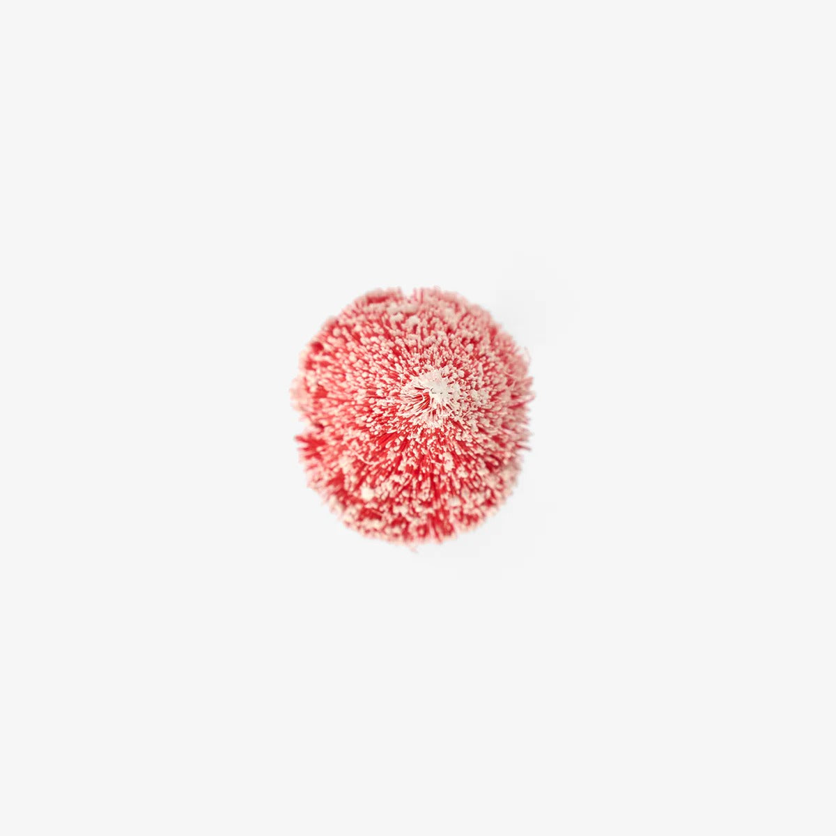 0376-FTIC11253066994