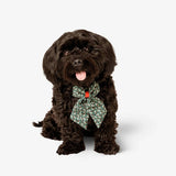 Dog Bow Tie Holly Print