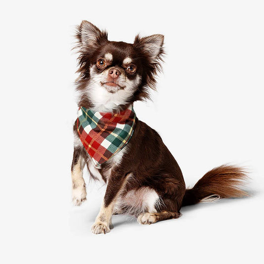 Dog Bandana Checkered Print