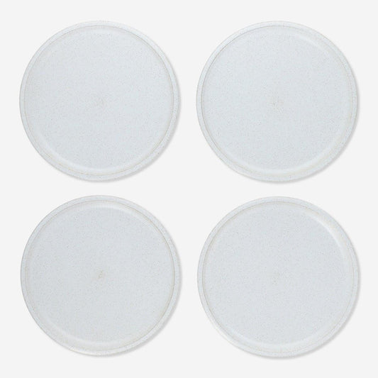 Plates Reusable Plastic New Year 4 Pcs