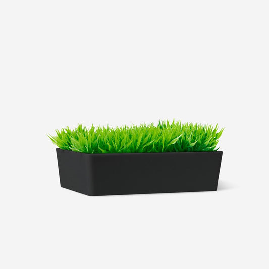 Soap Holder Abs Black with Grass