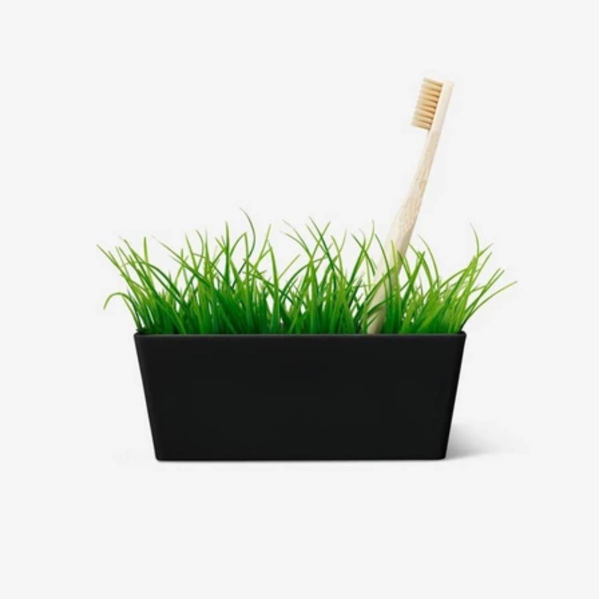 Toothbrush Holder Abs Black with Grass