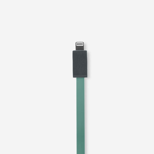 Charging Cable 100Cm Lightning Gry/Green