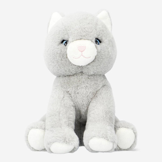 Teddy Cat (Sni)