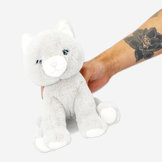 Teddy Cat (Sni)